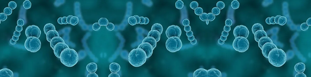 Infection-Disease